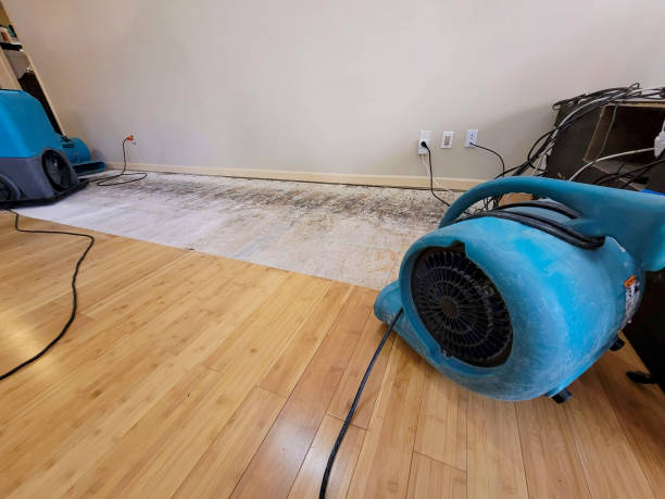 Professional Emergency Water Damage technician working in Clare, MI